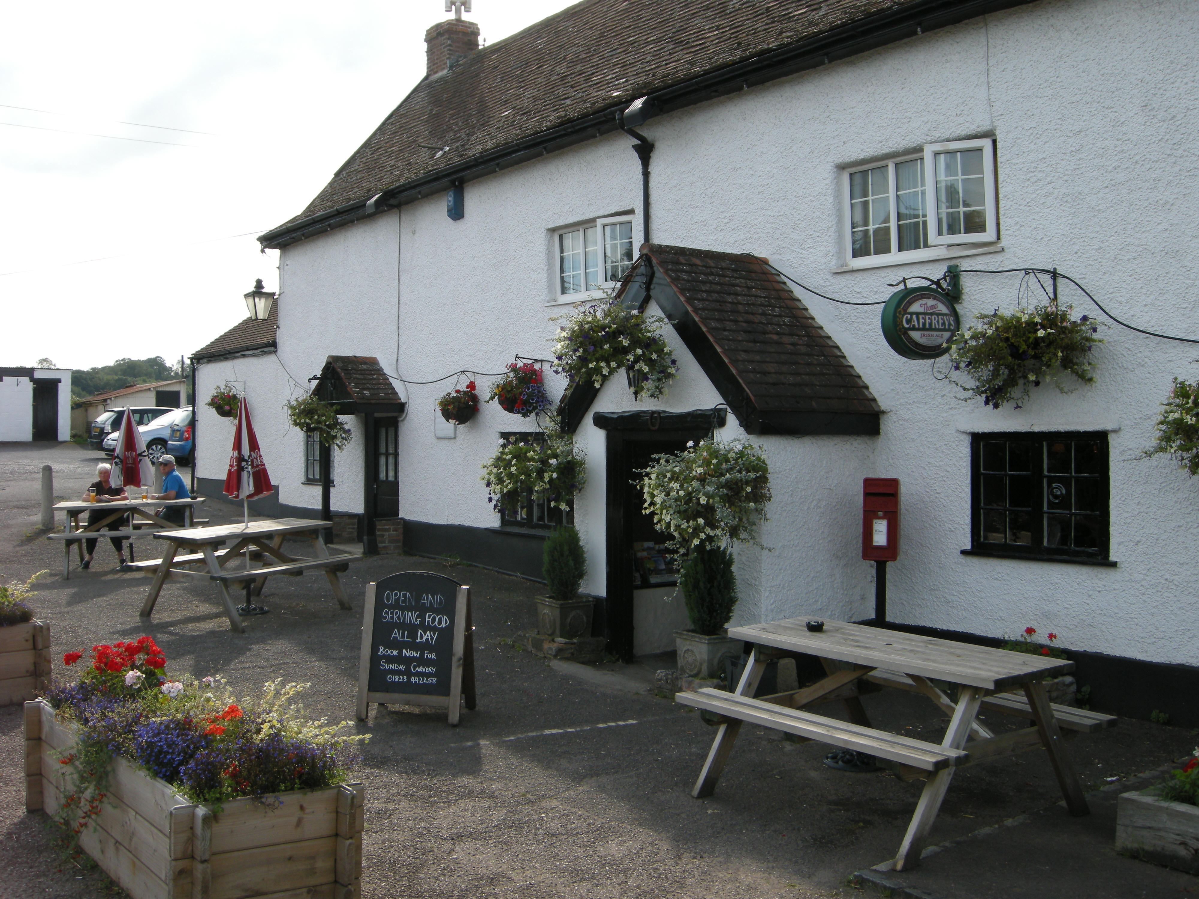 Taunton Free House Available with Sidney Phillips