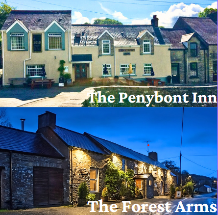 Two chocolate-box properties in Carmarthenshire sold